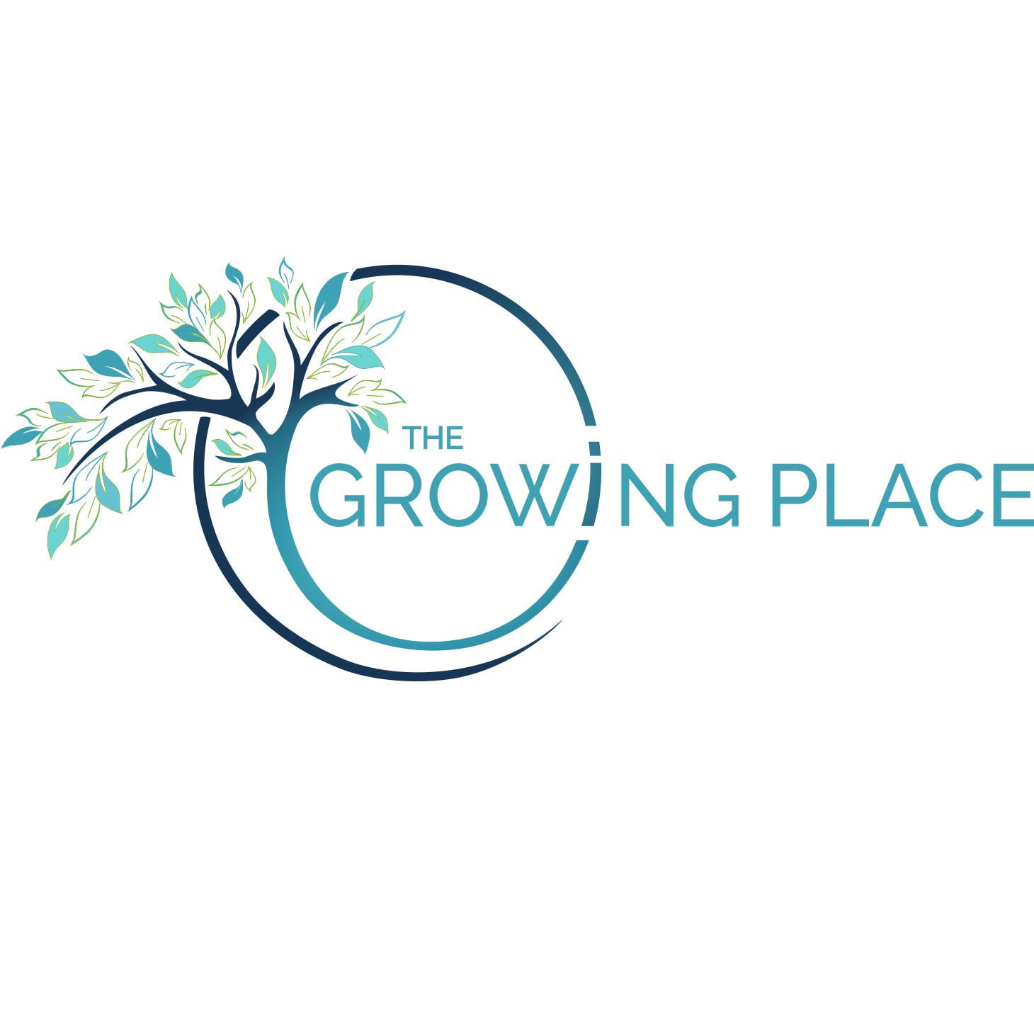 The Growing Place Pediatrics PLLC