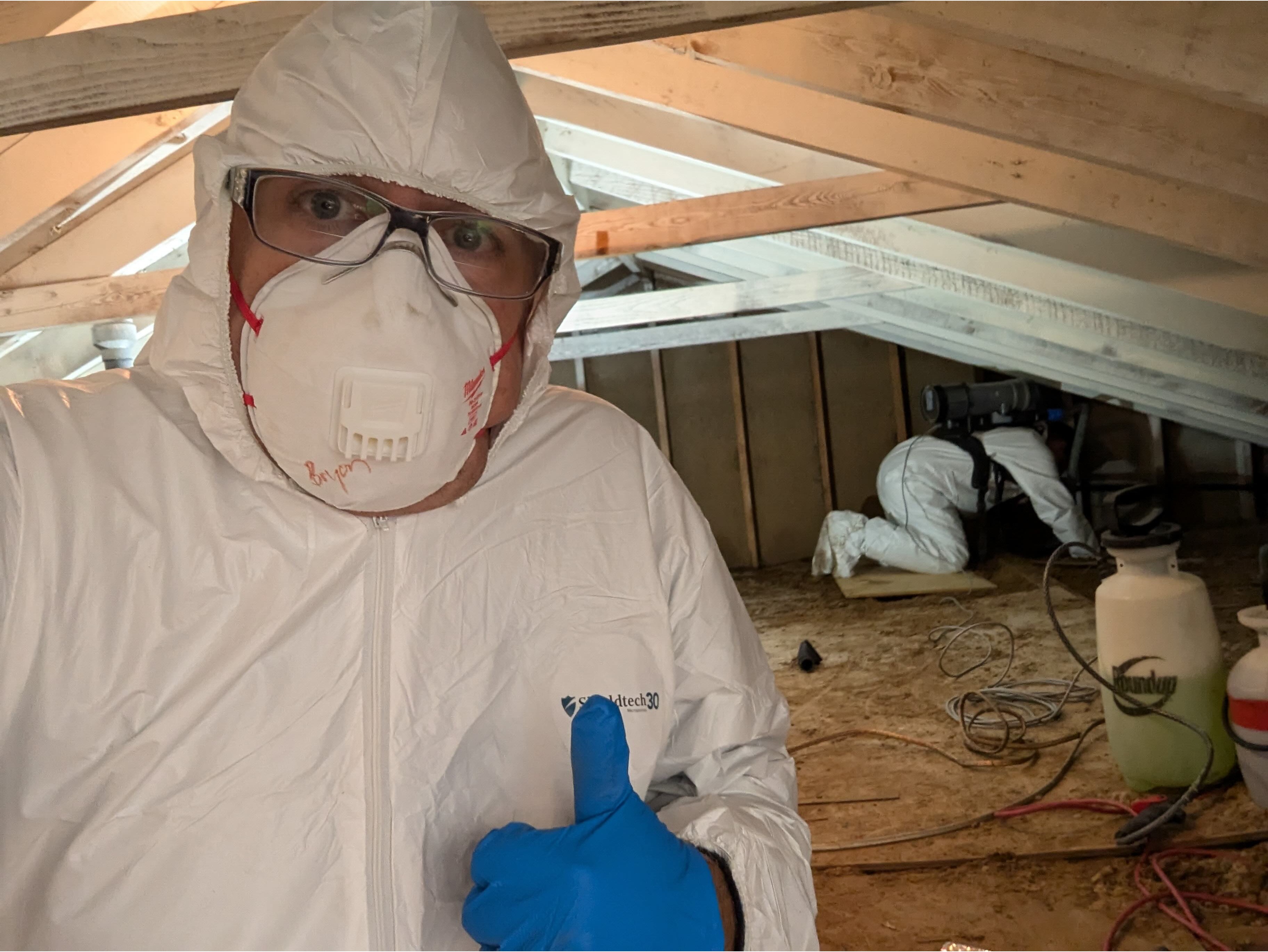 Advanced Restoration and Cleaning Image