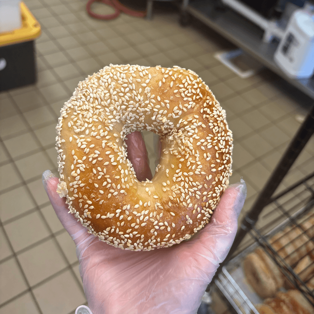 Sesame Bagel