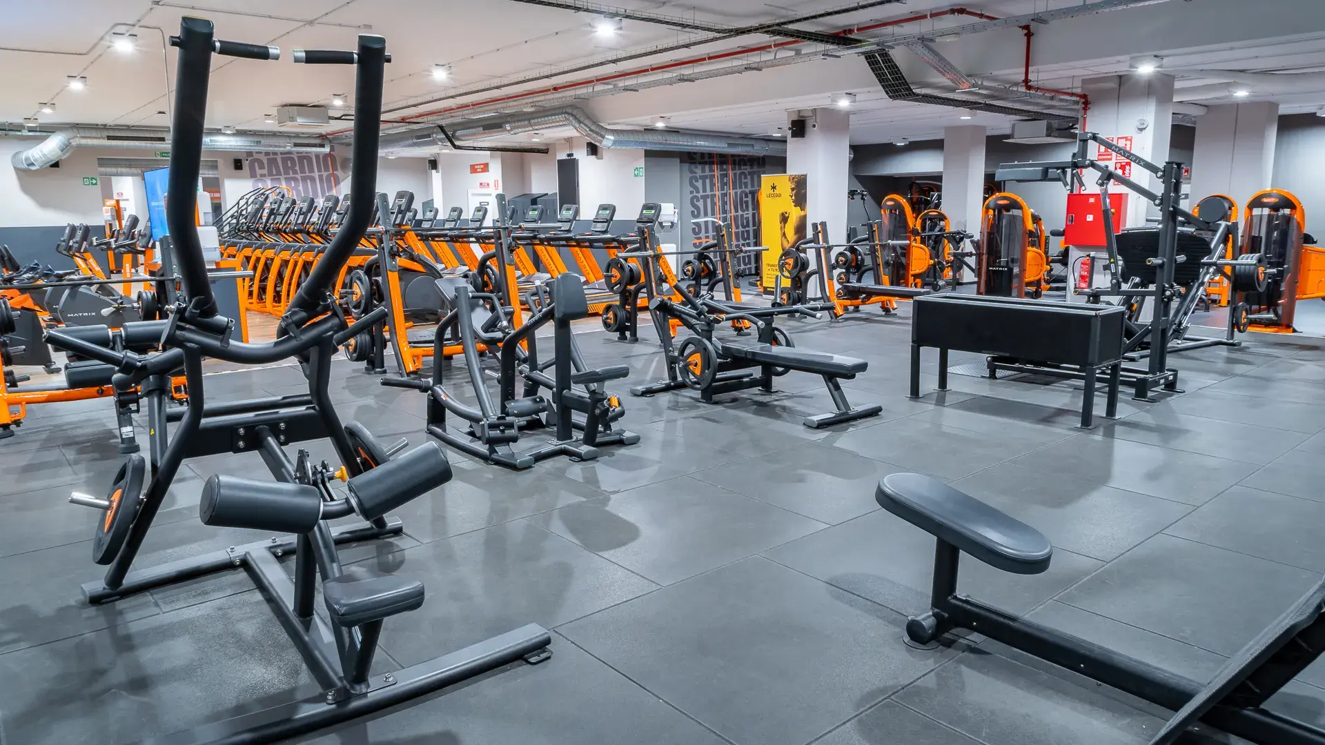 Galería de imágenes