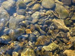 Turtle River Pebbles