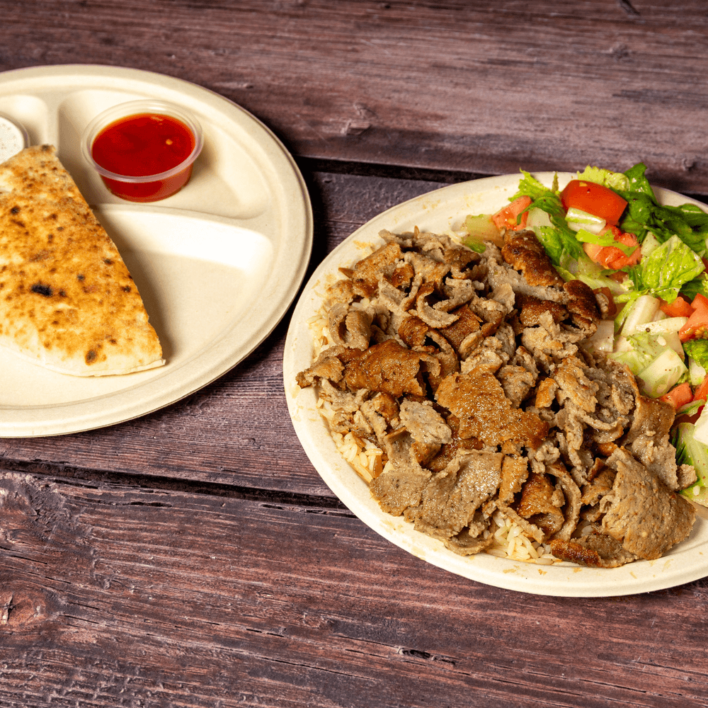 Regular Doner Kebab Platter