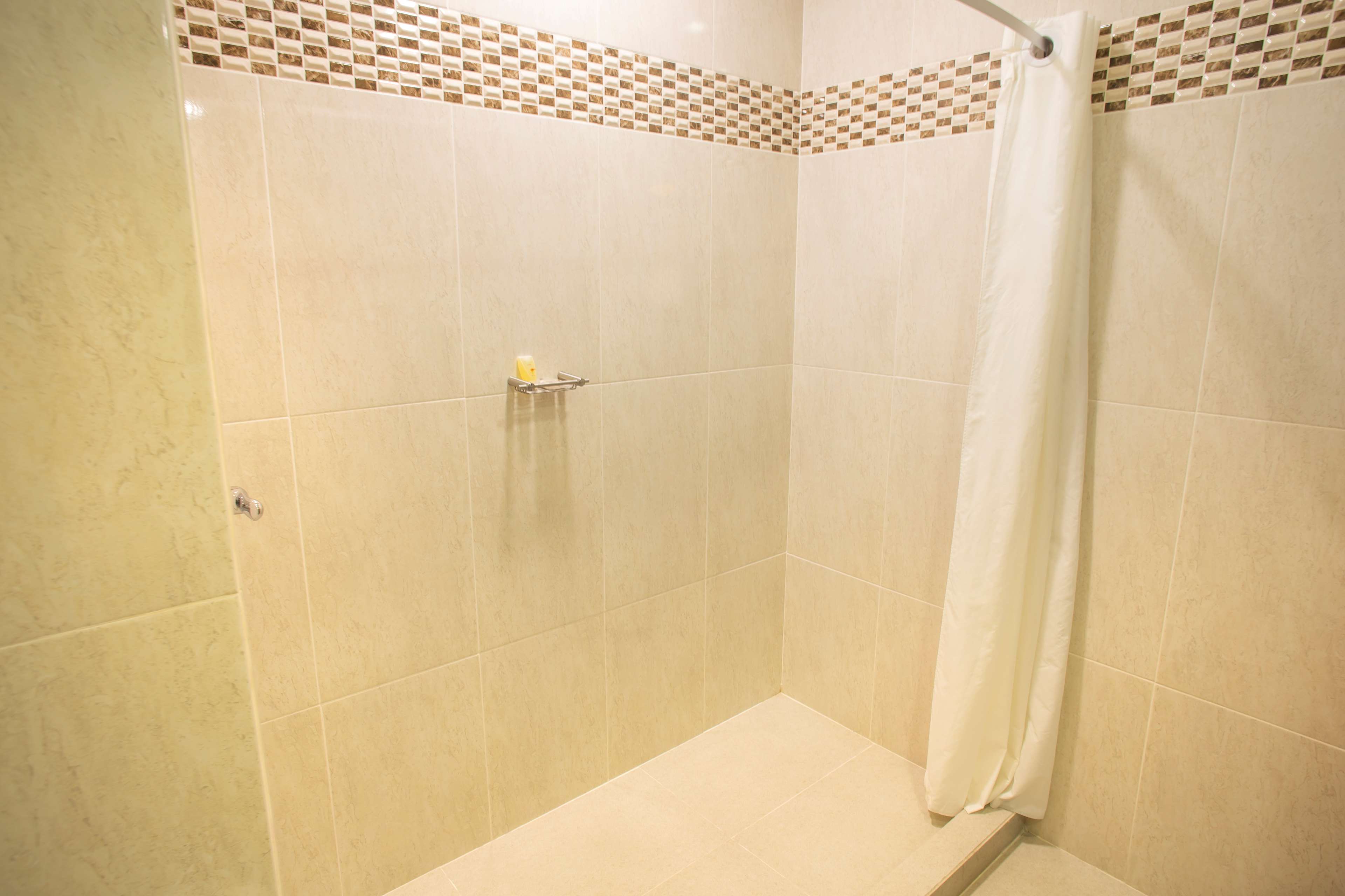 Images Best Western Plaza Monterrey