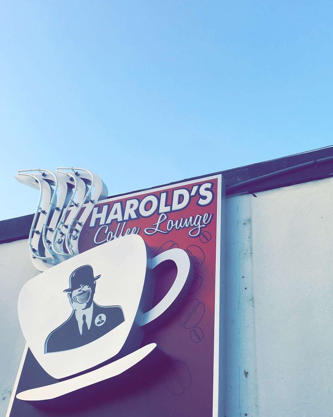 Harold's Coffee Lounge Photo