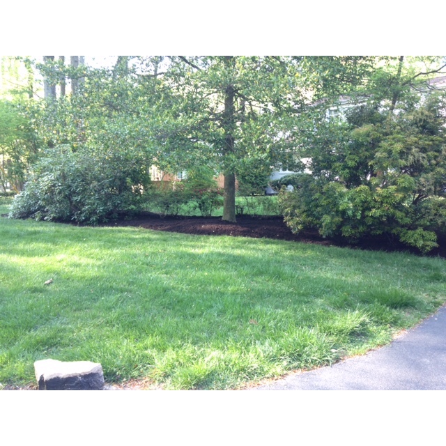 Frantum Lawncare and Landscaping LLC Logo