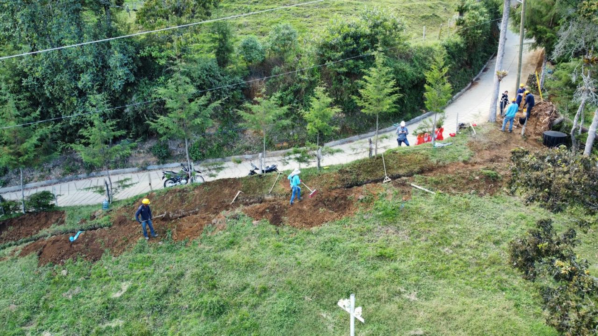 Galería en miniatura