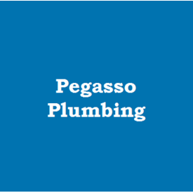 Pegasso Plumbing Logo