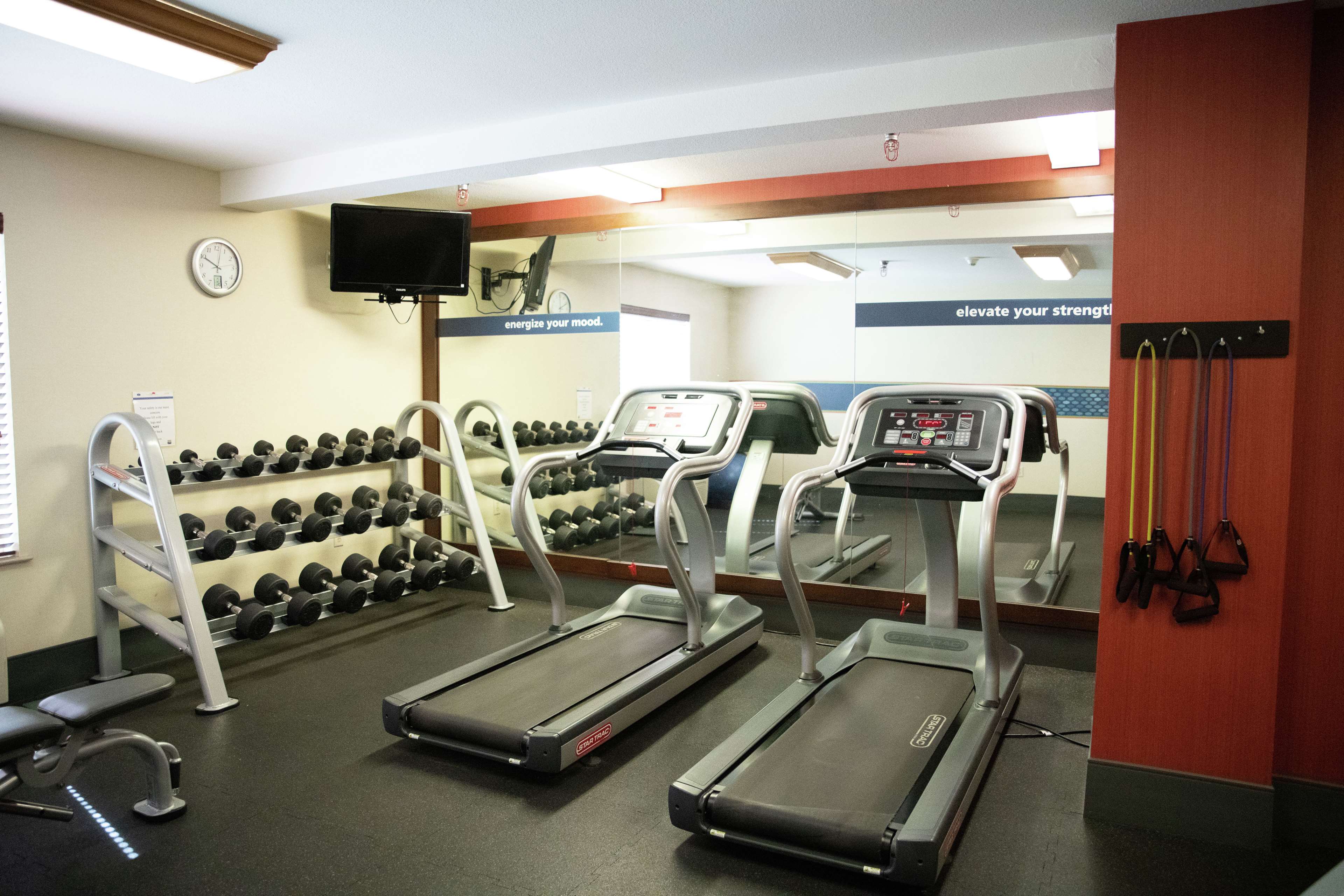 Health club  fitness center  gym