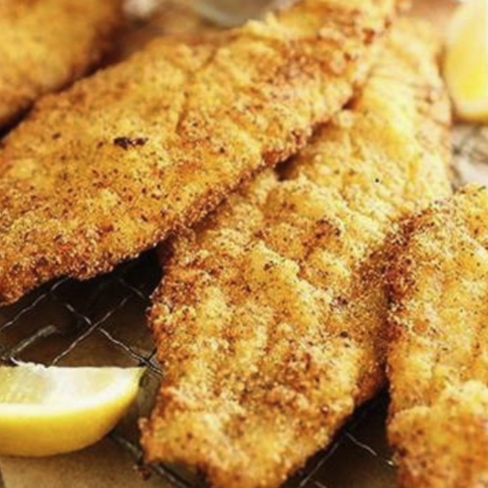 Catfish
