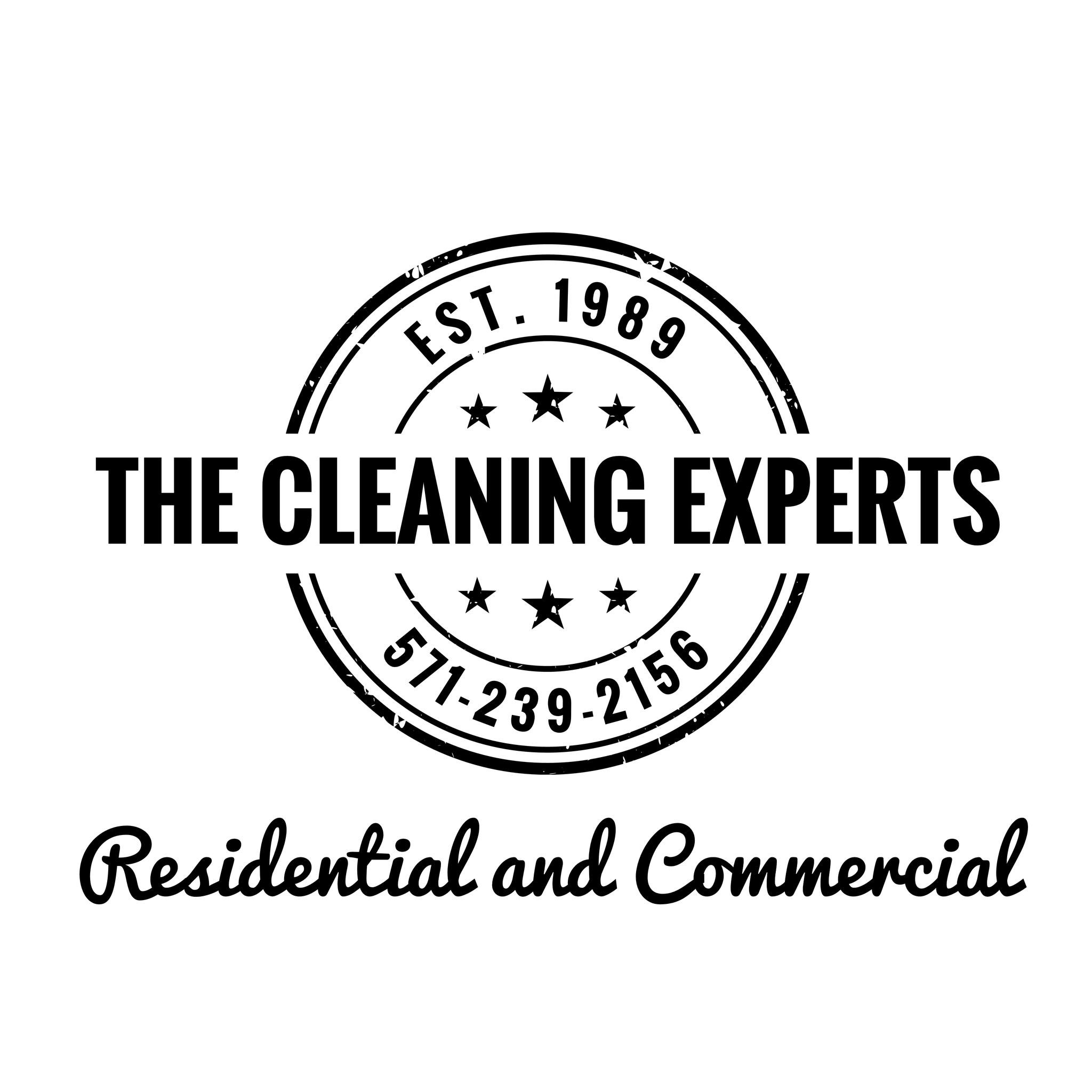 The Cleaning Experts 1989 Logo