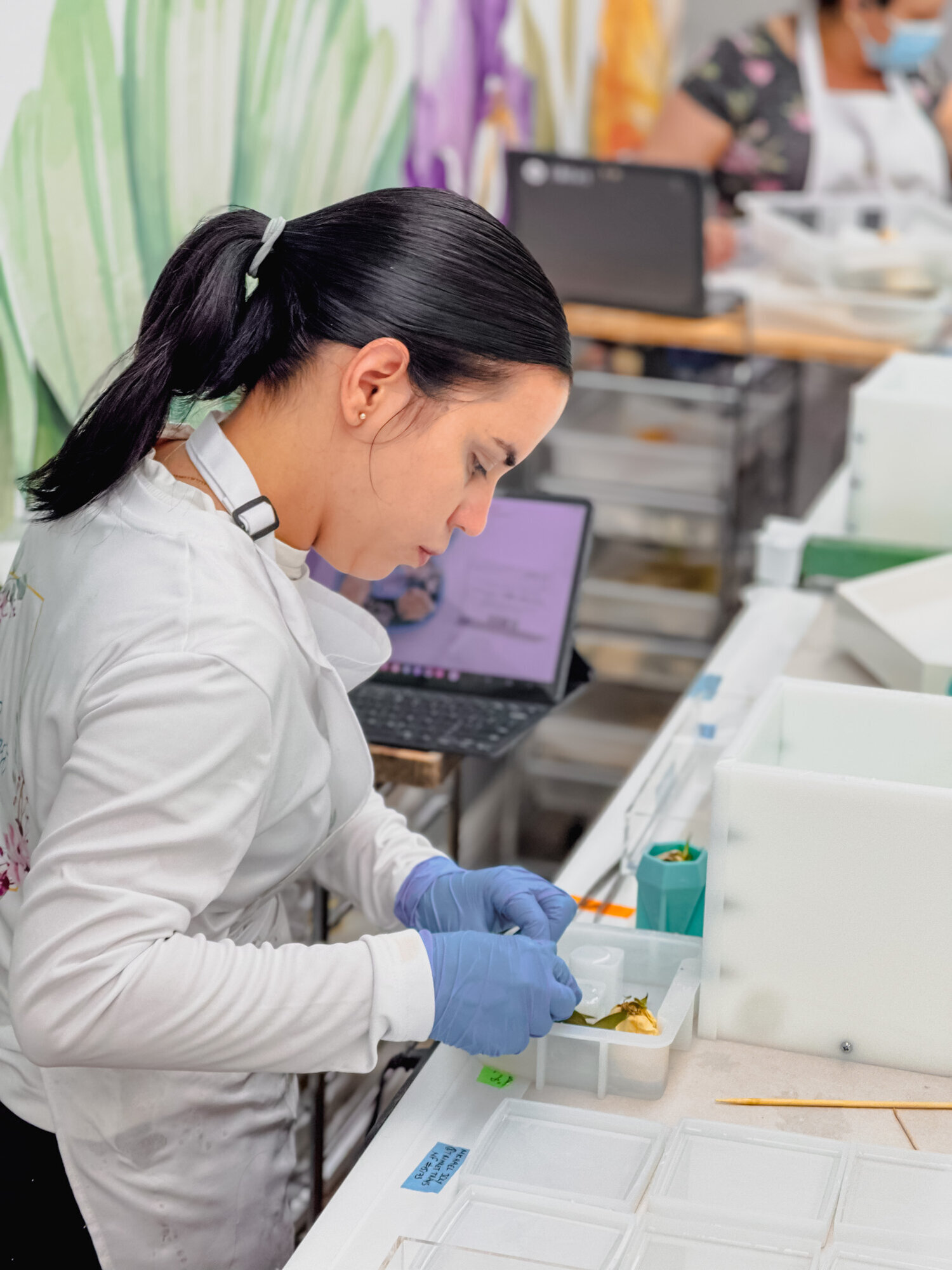 Wild Coast Flower Preservation Image