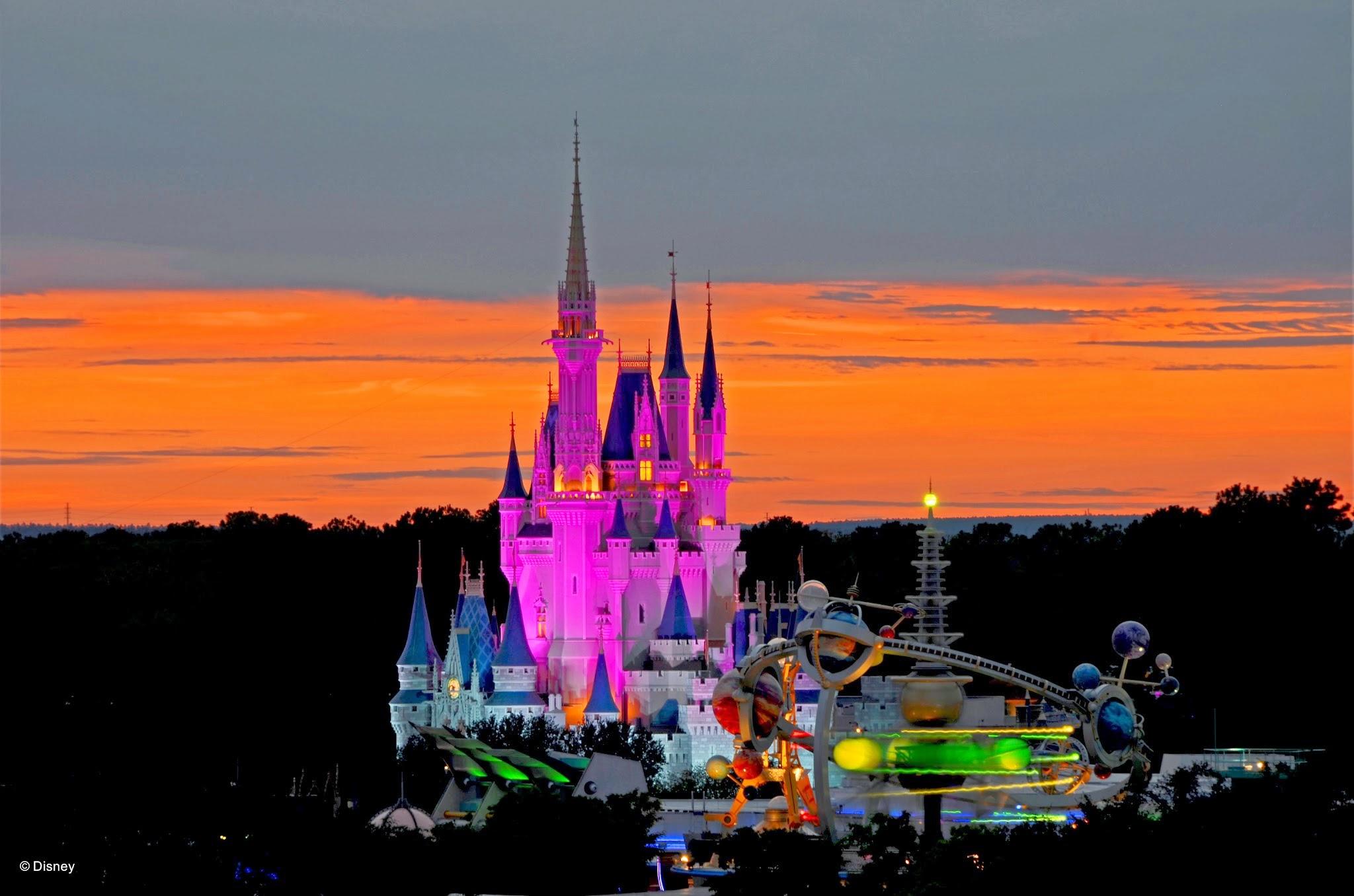 Walt Disney World® Resort Photo