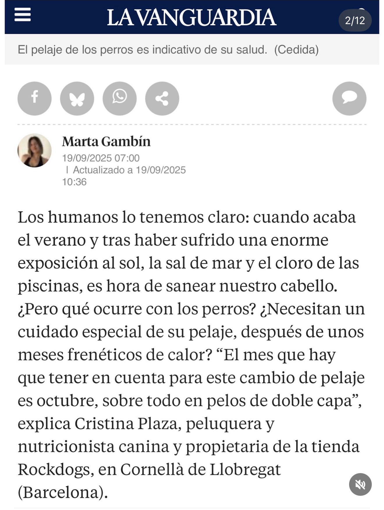 Galería en miniatura