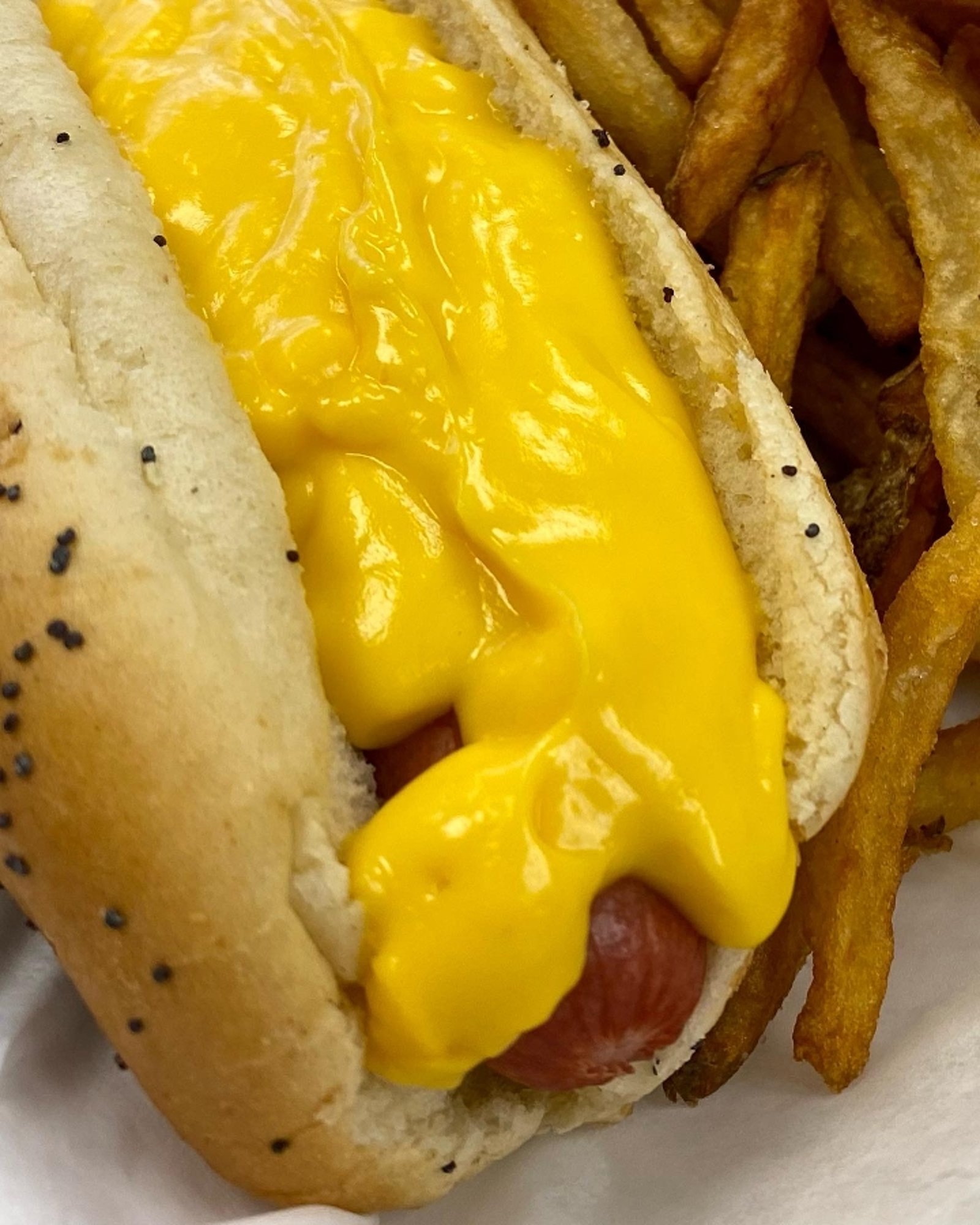 Cheese Dog
