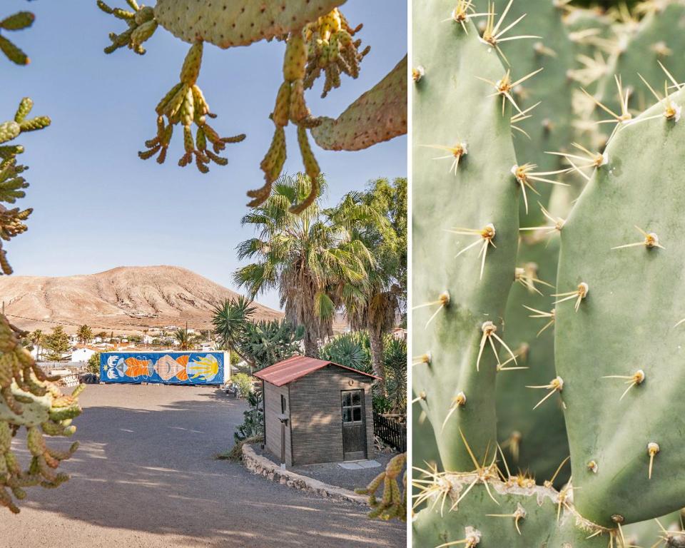 Galería en miniatura