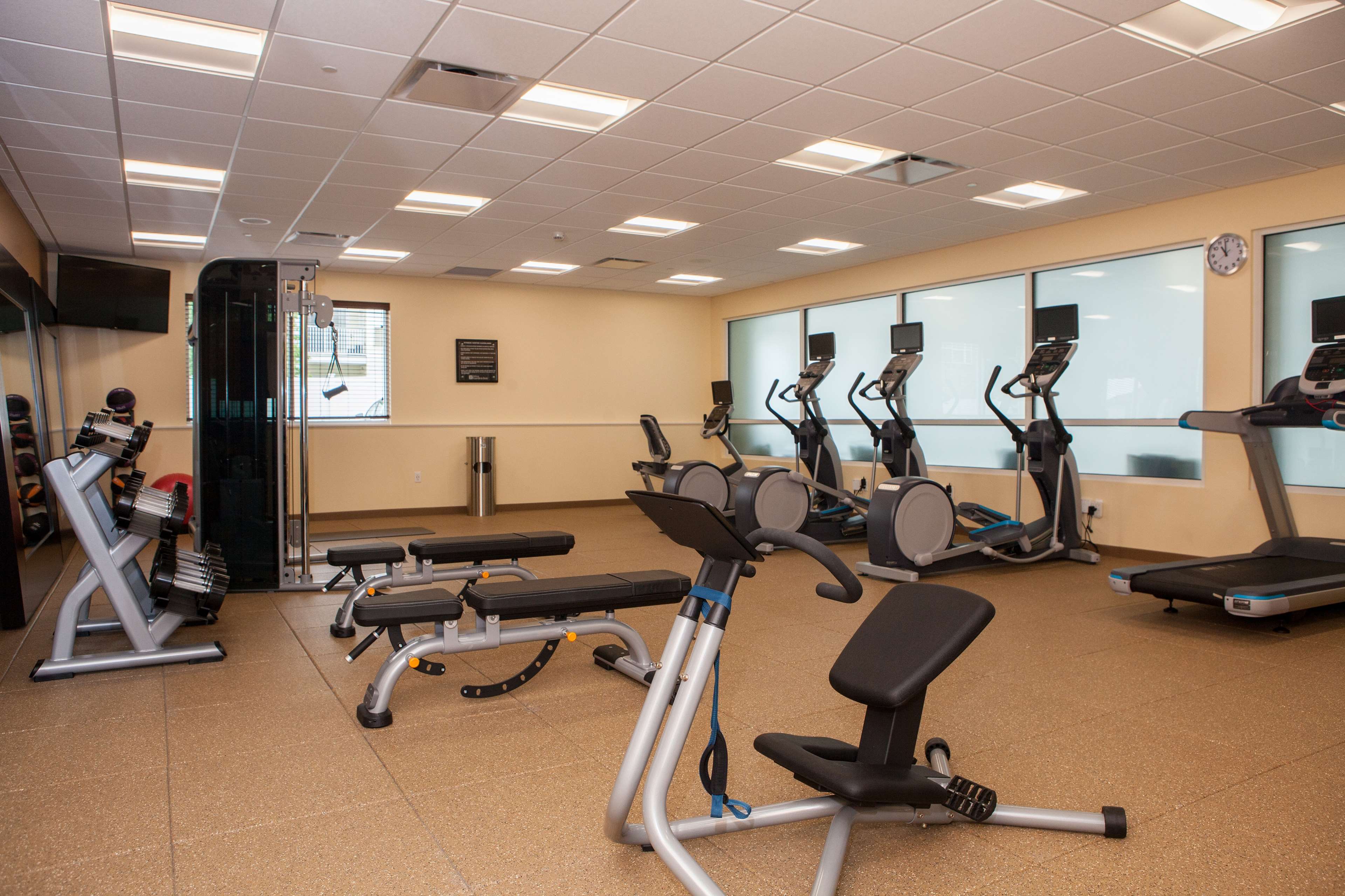 Health club  fitness center  gym