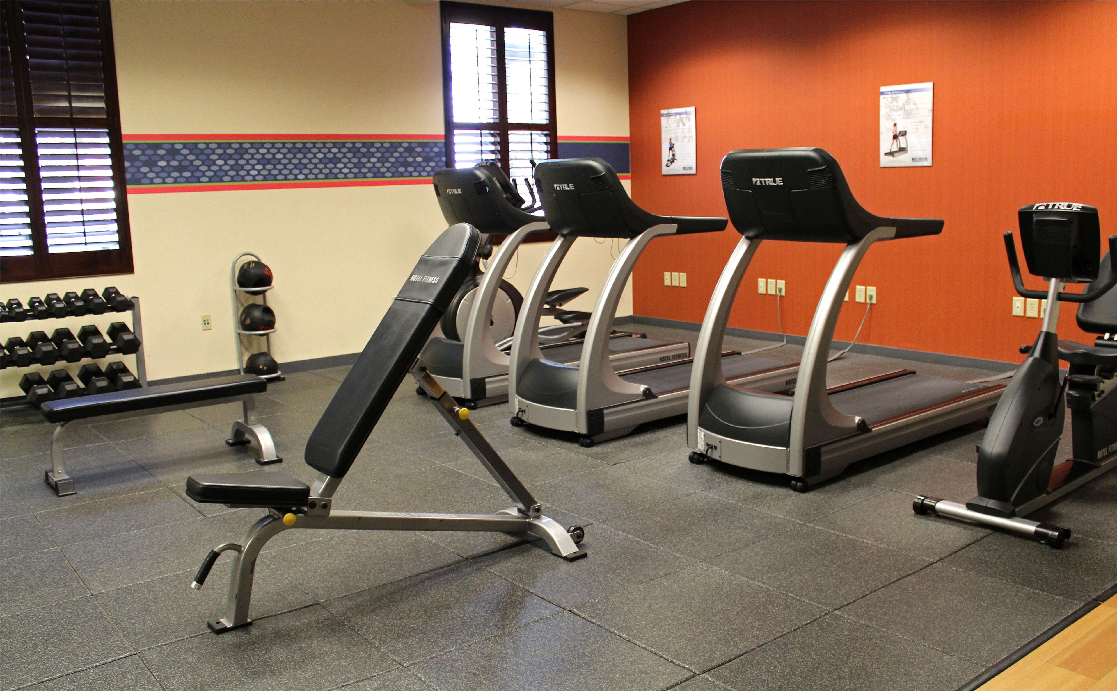 Health club  fitness center  gym