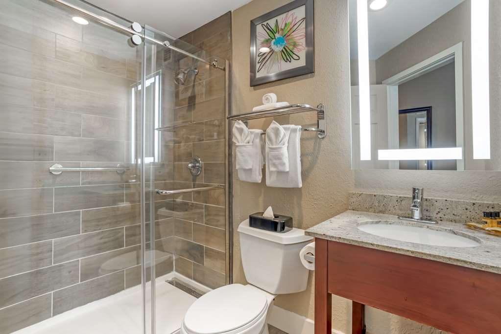 Best Western Plus Greenville I-385 Inn & Suites Image