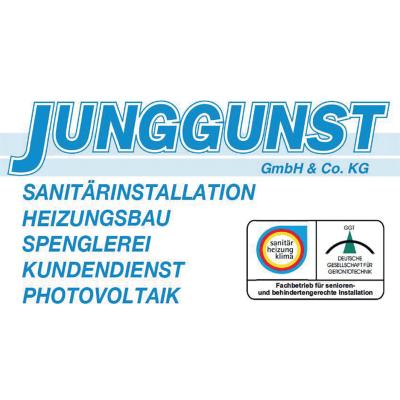 Logo von Junggunst GmbH & Co. KG