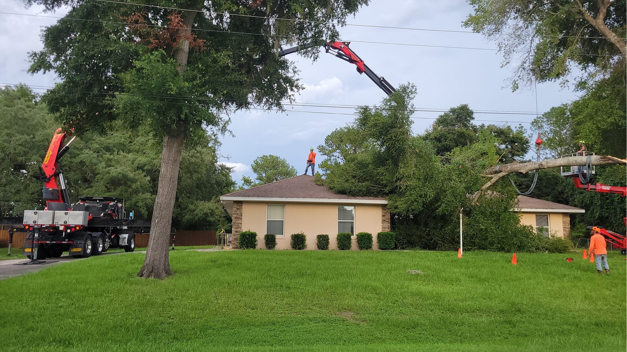 Airborne Tree Service Image