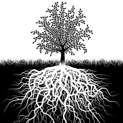 Bozeman Therapy & Counseling