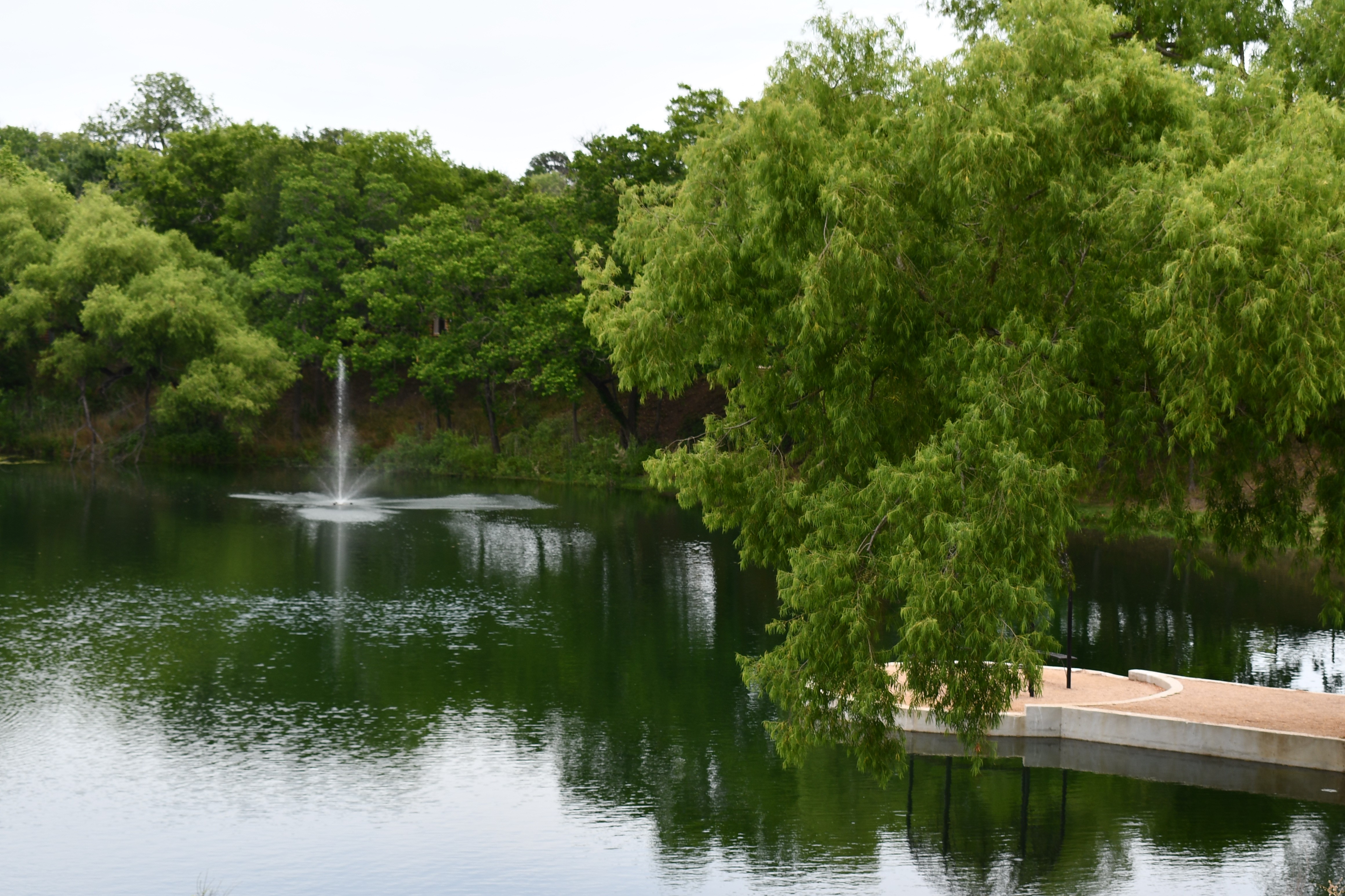 San Antonio / Alamo KOA Holiday Photo