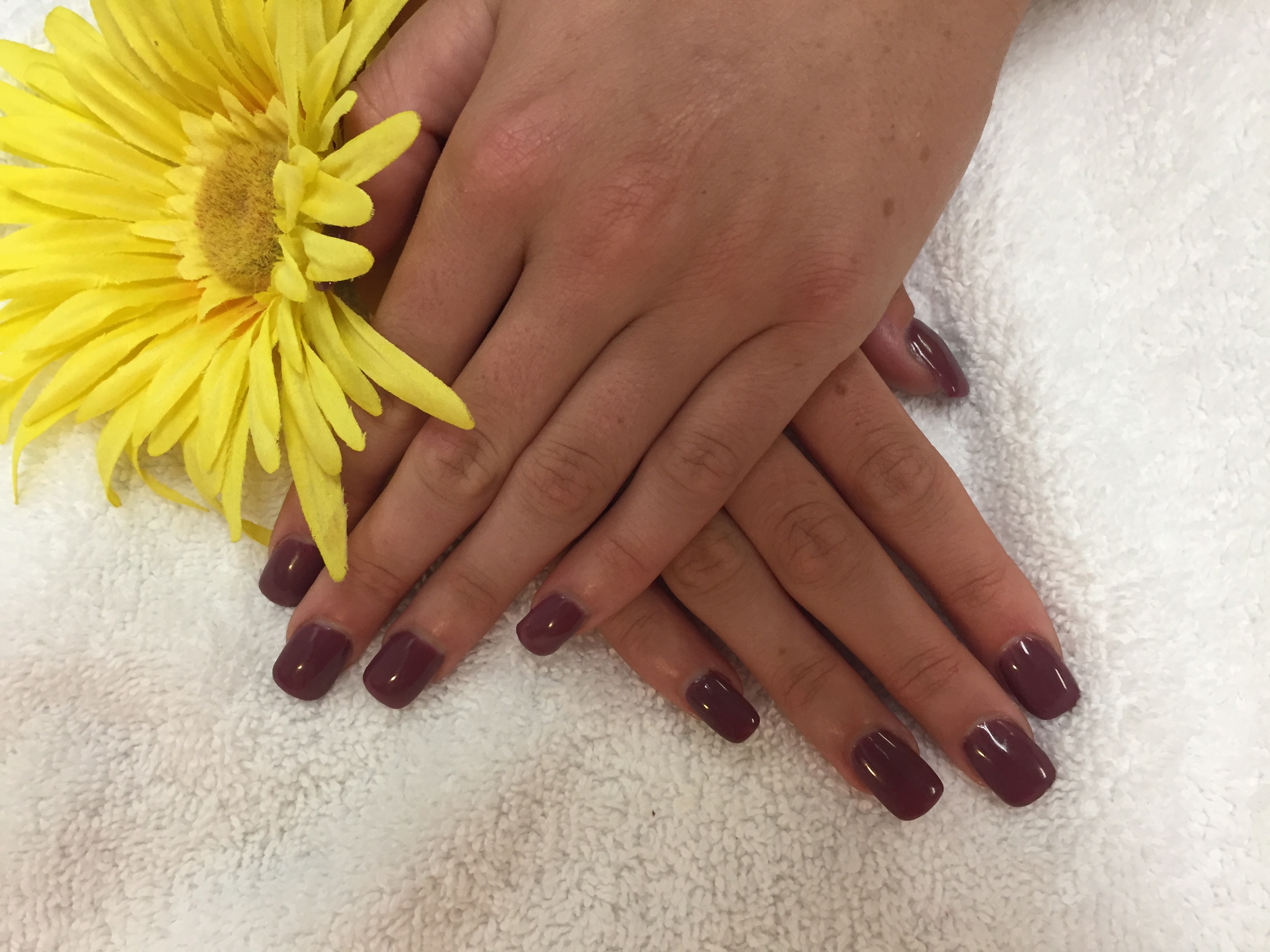 TL Nails & Spa image