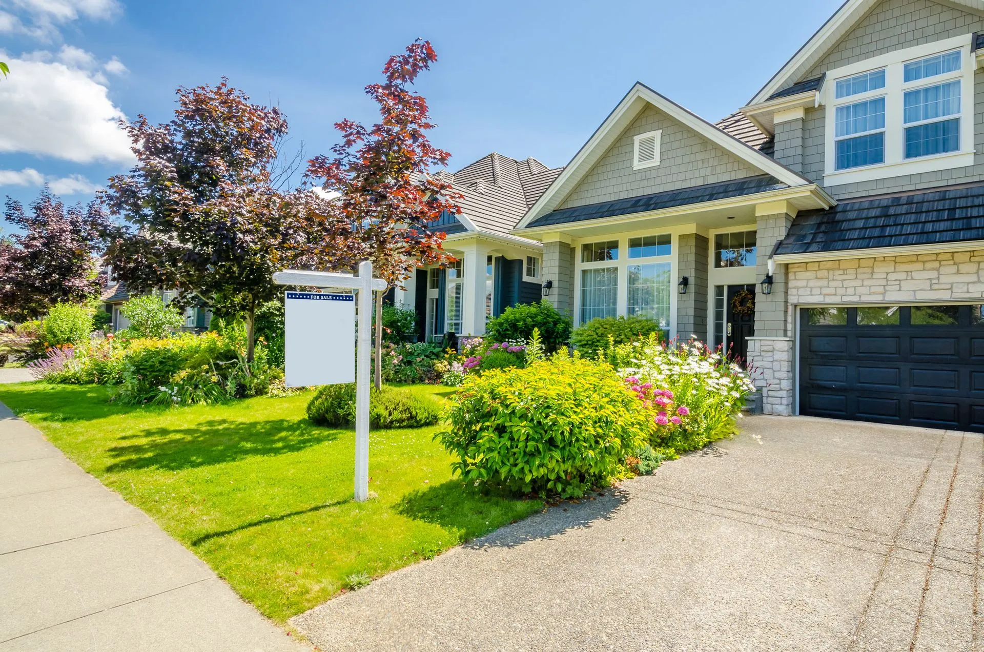 Local Realtor