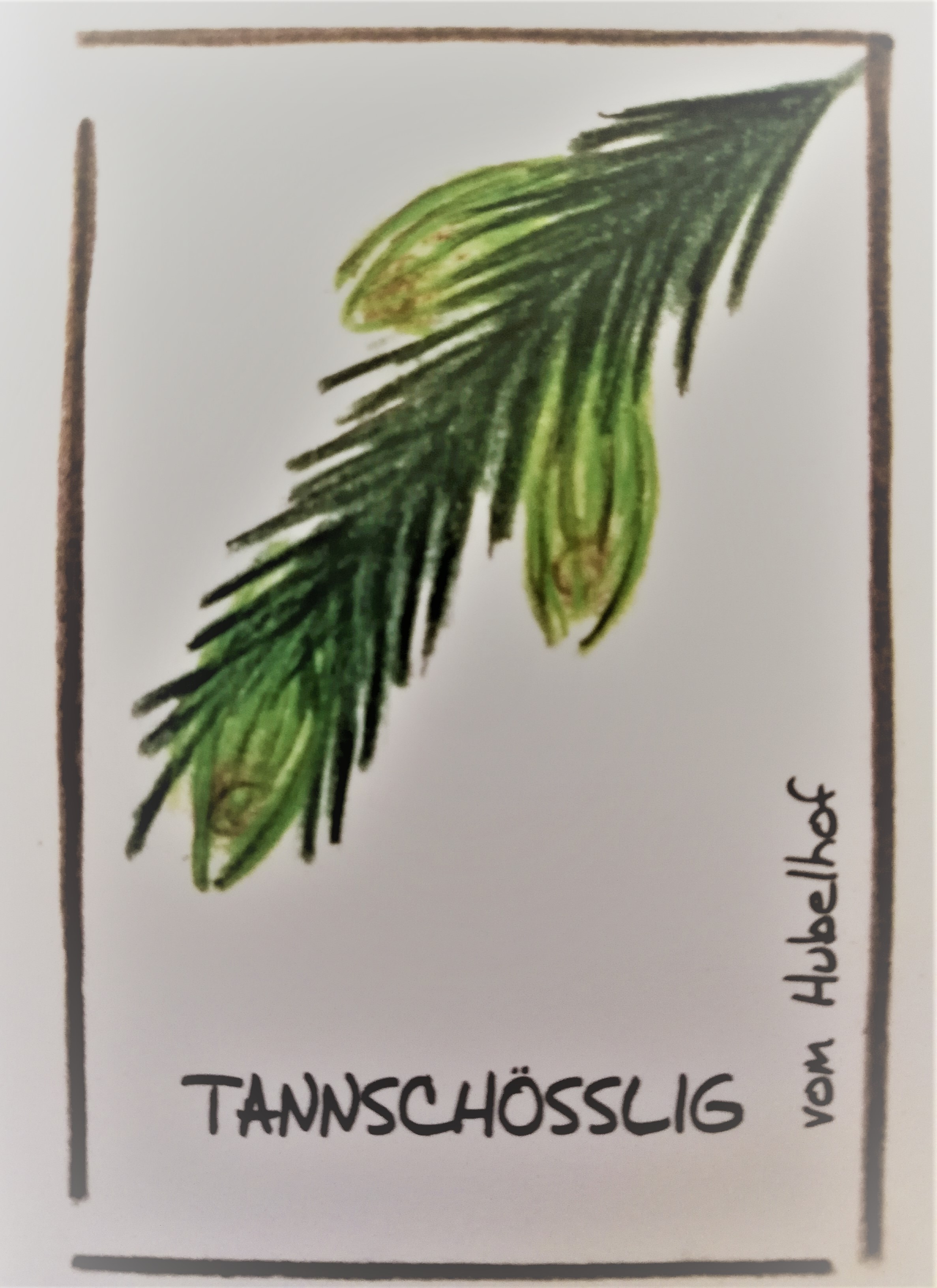 Veredelter Tannensprossen Schnaps