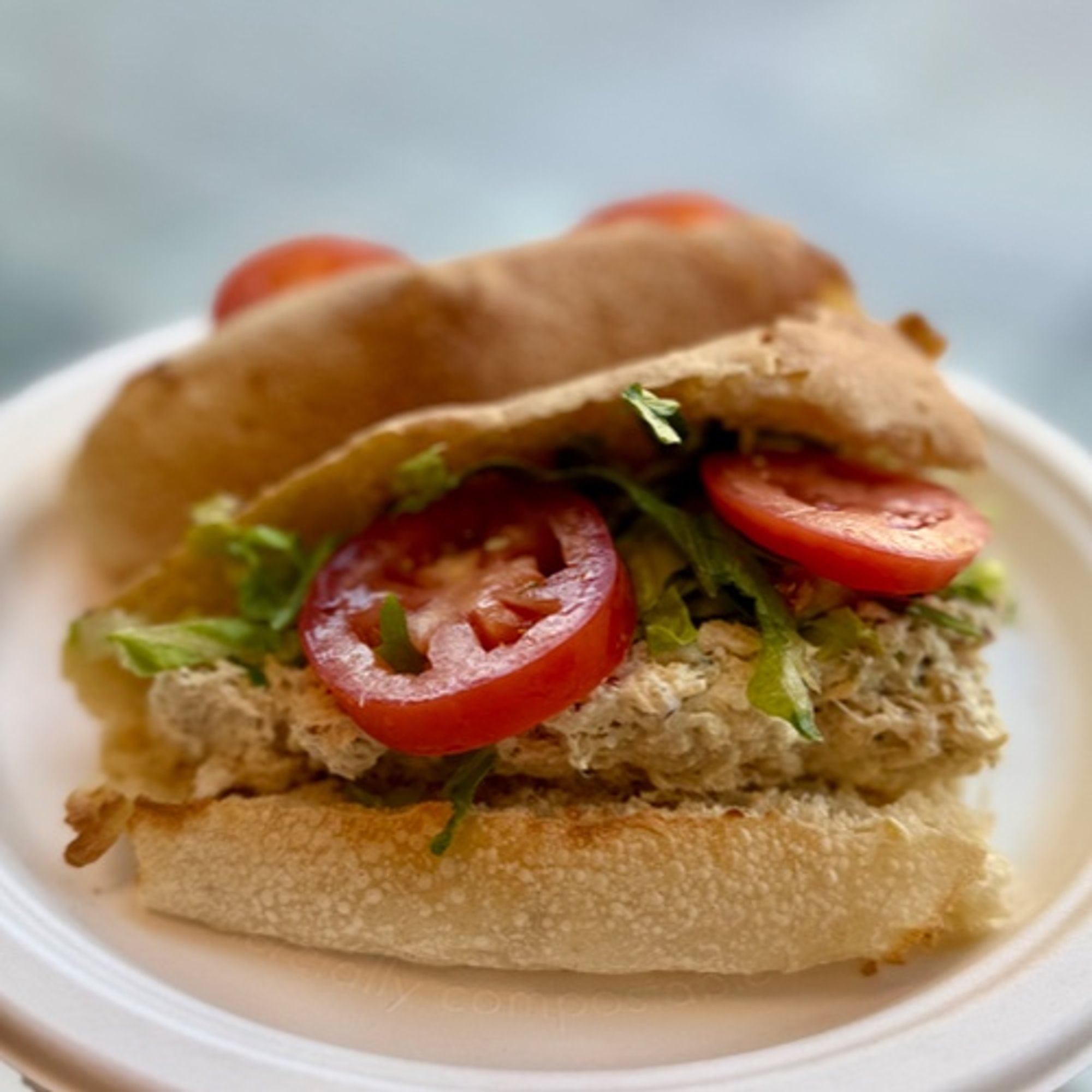 Special Recipe Tuna Sub