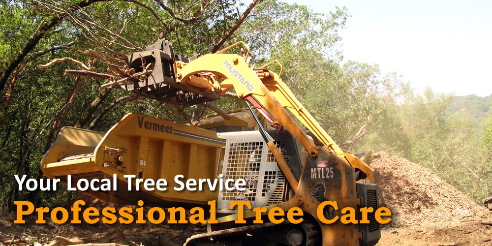 Summit Tree Care LLC Logo