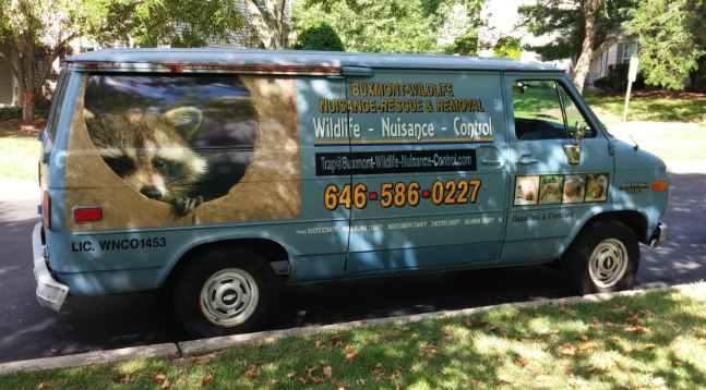 BuxMont Wildlife Nuisance Control Logo