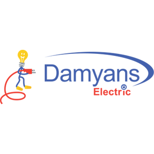 Damyan's Electric