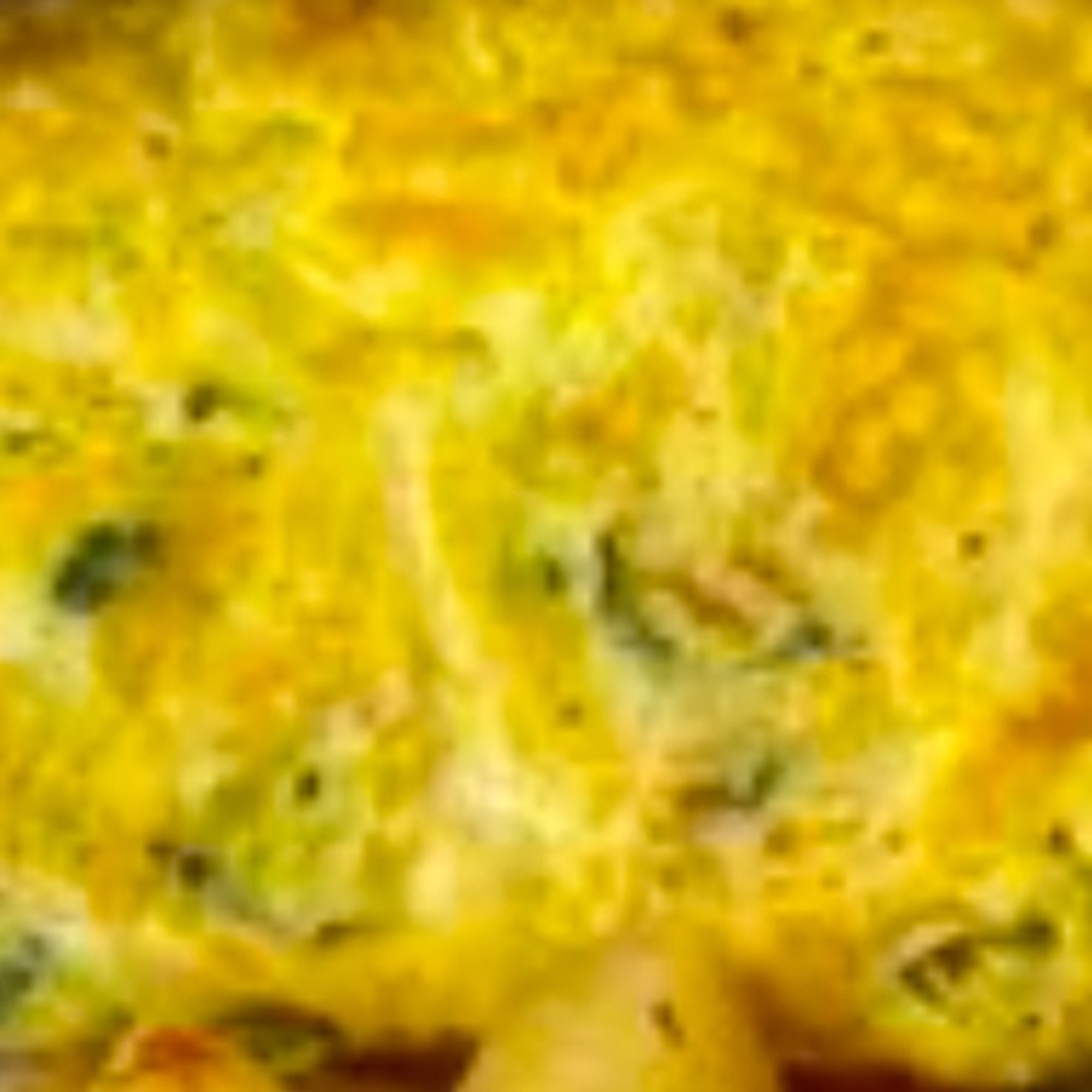 BROCCOLI OMELETTE