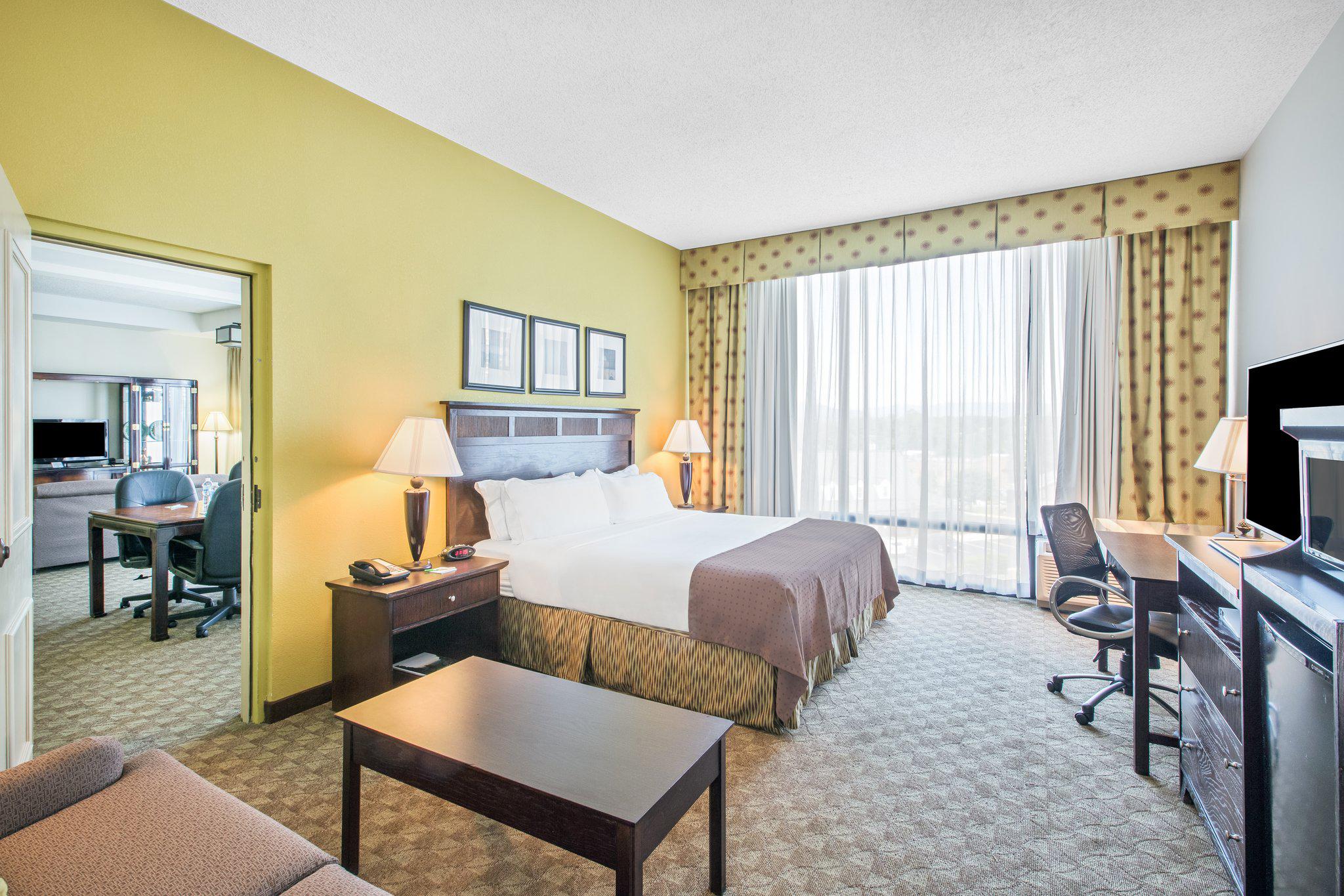 Holiday Inn Roanoke-Tanglewood-Rt 419&I581 Photo