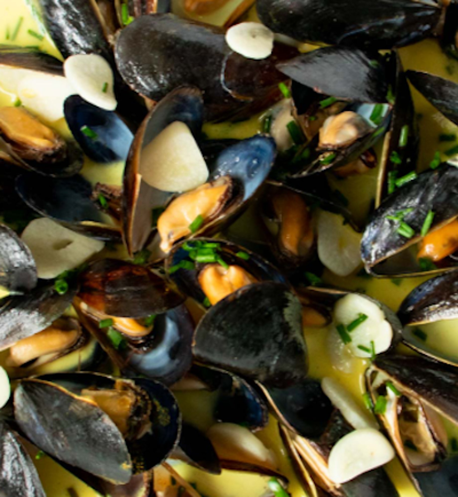 Mussels Marinara