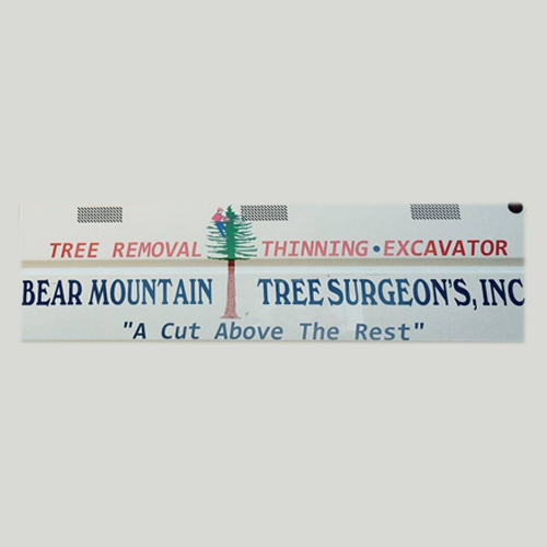 Bear Mountain Tree Surgeons Inc Logo