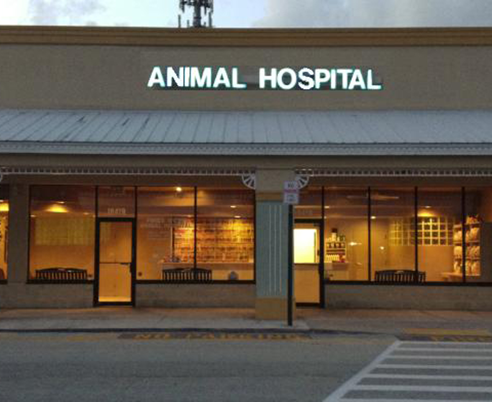 VCA Pines West Animal Hospital Photo