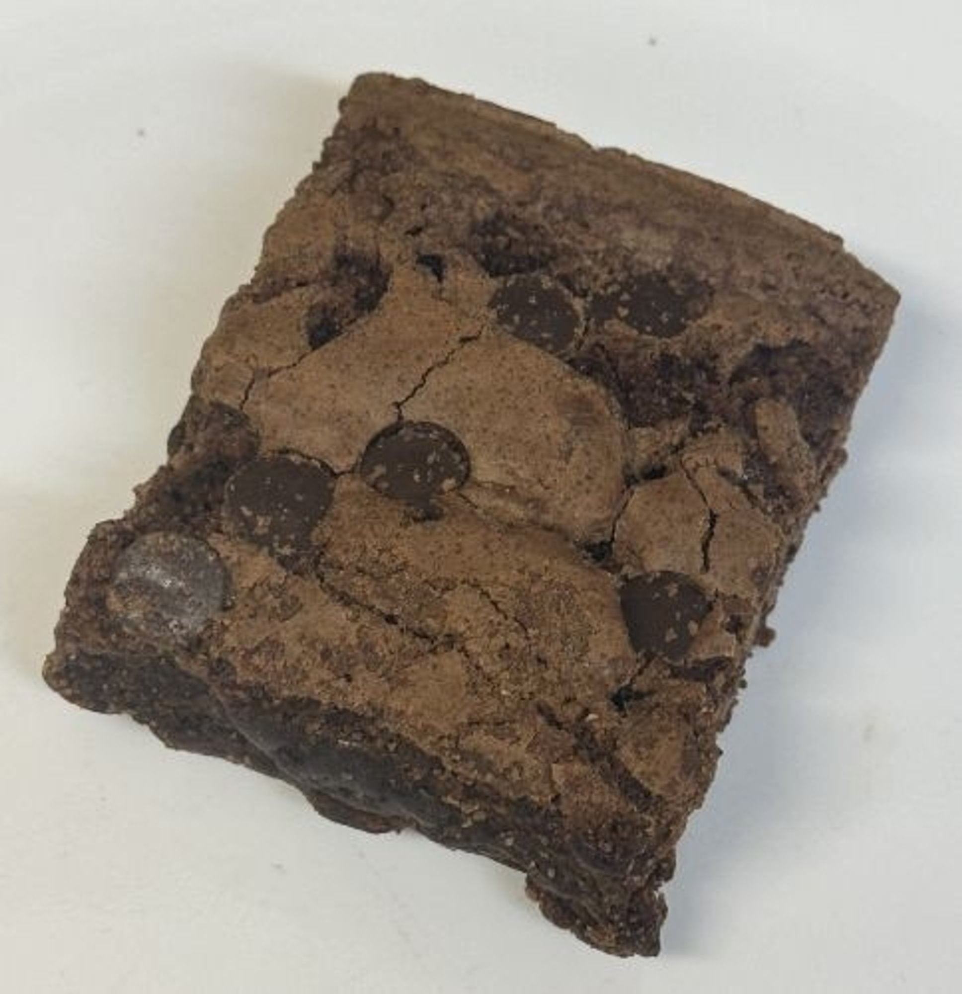 Chocolate Chip Brownie