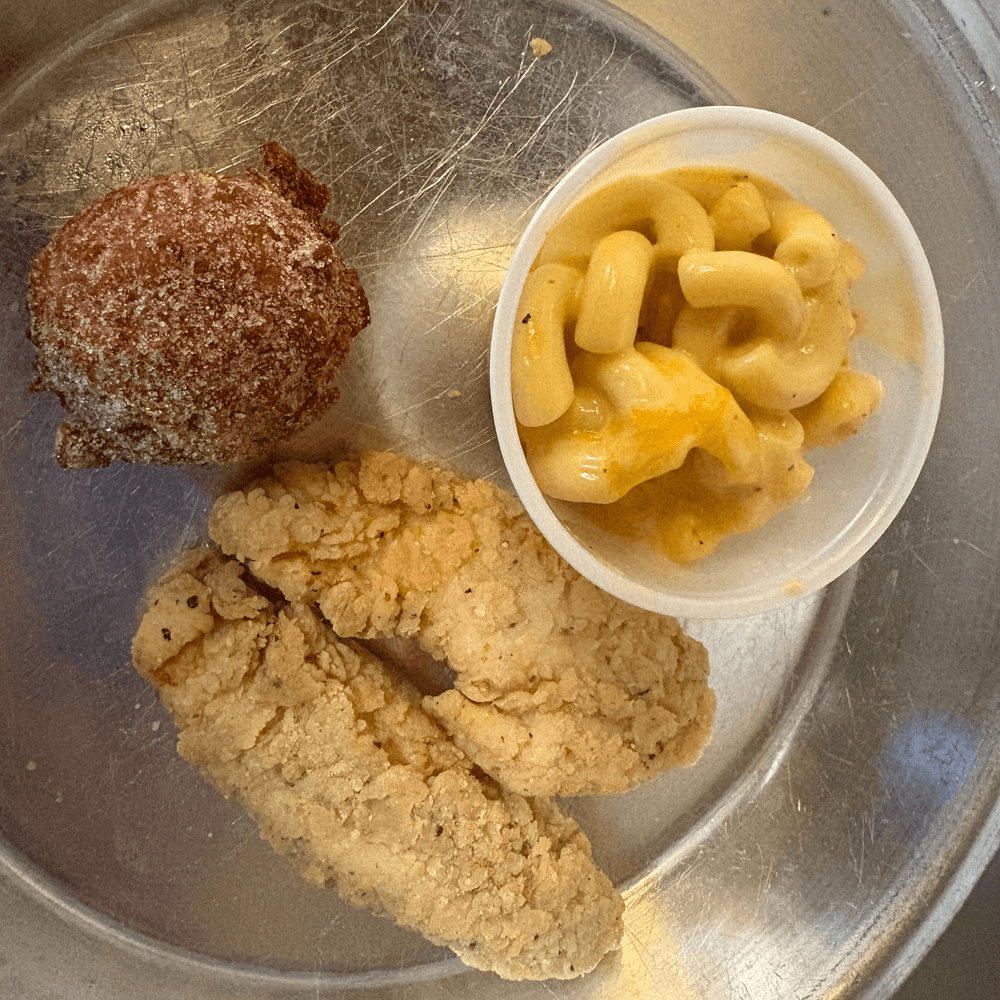 Kids Chicken Strips