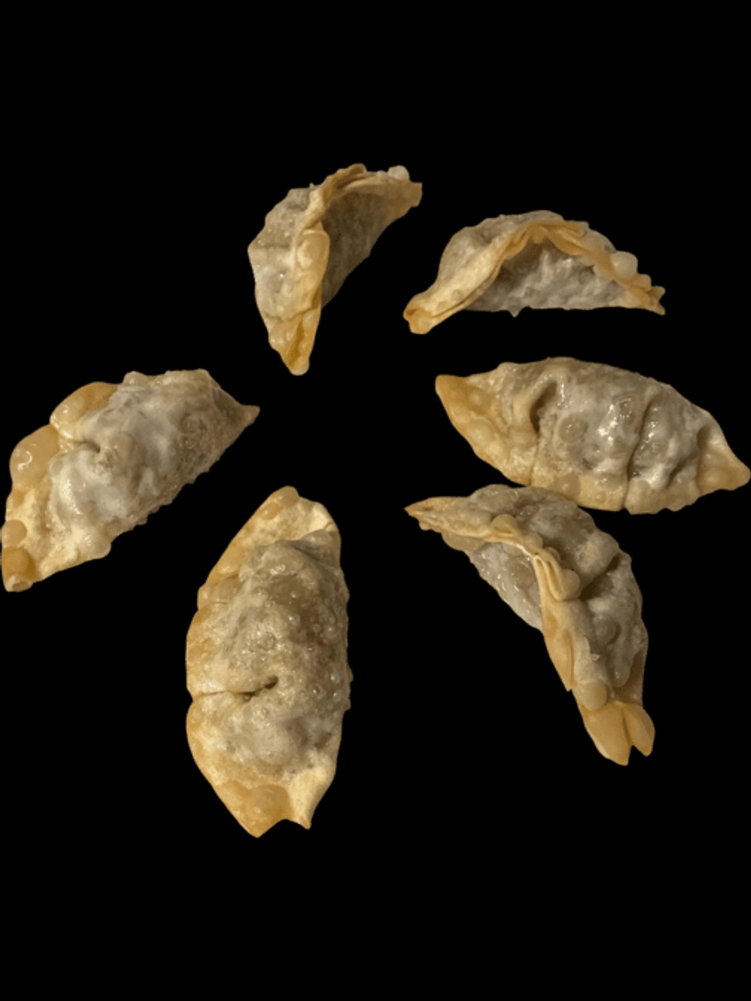 Gyoza Dumplings