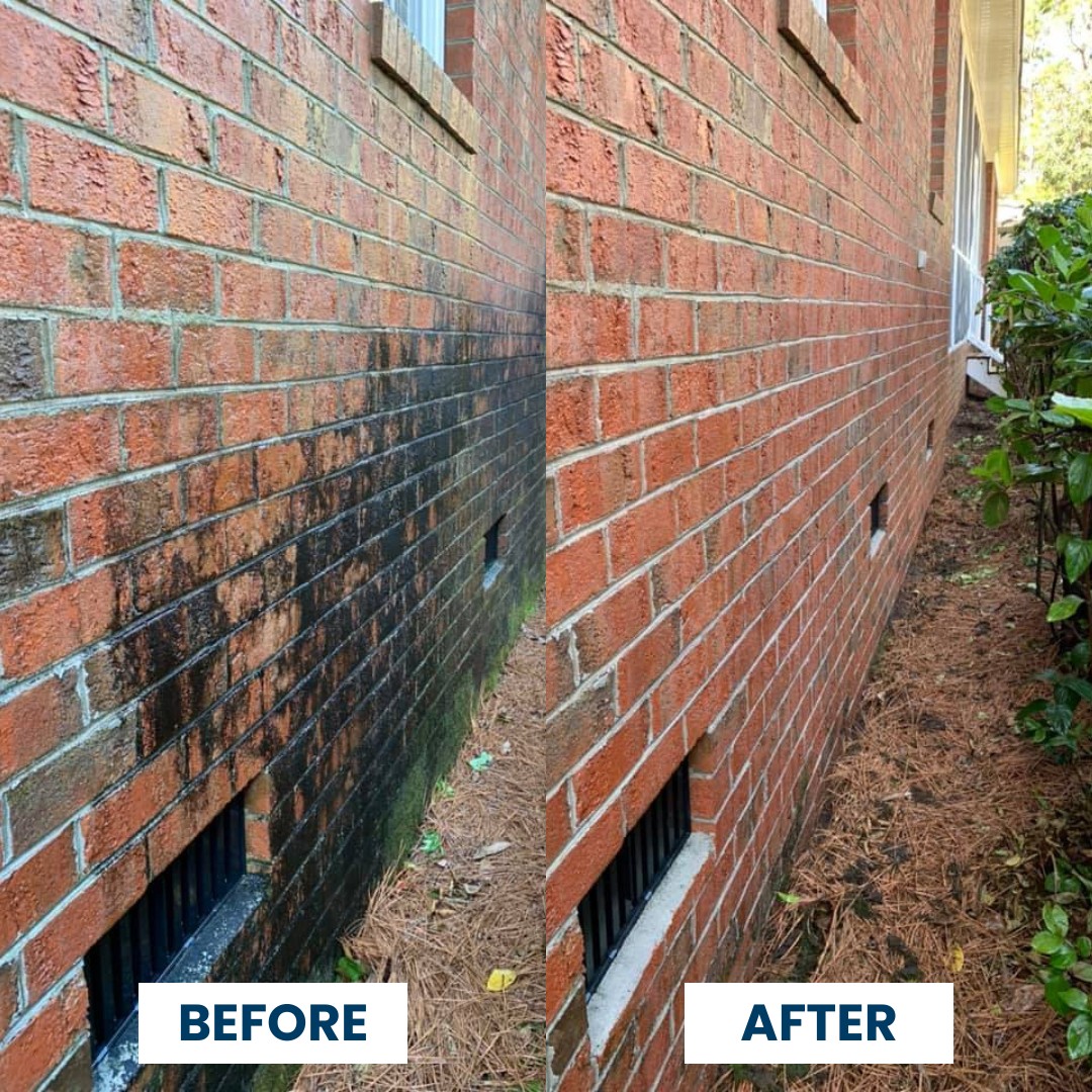 Window Hero Charlotte Image