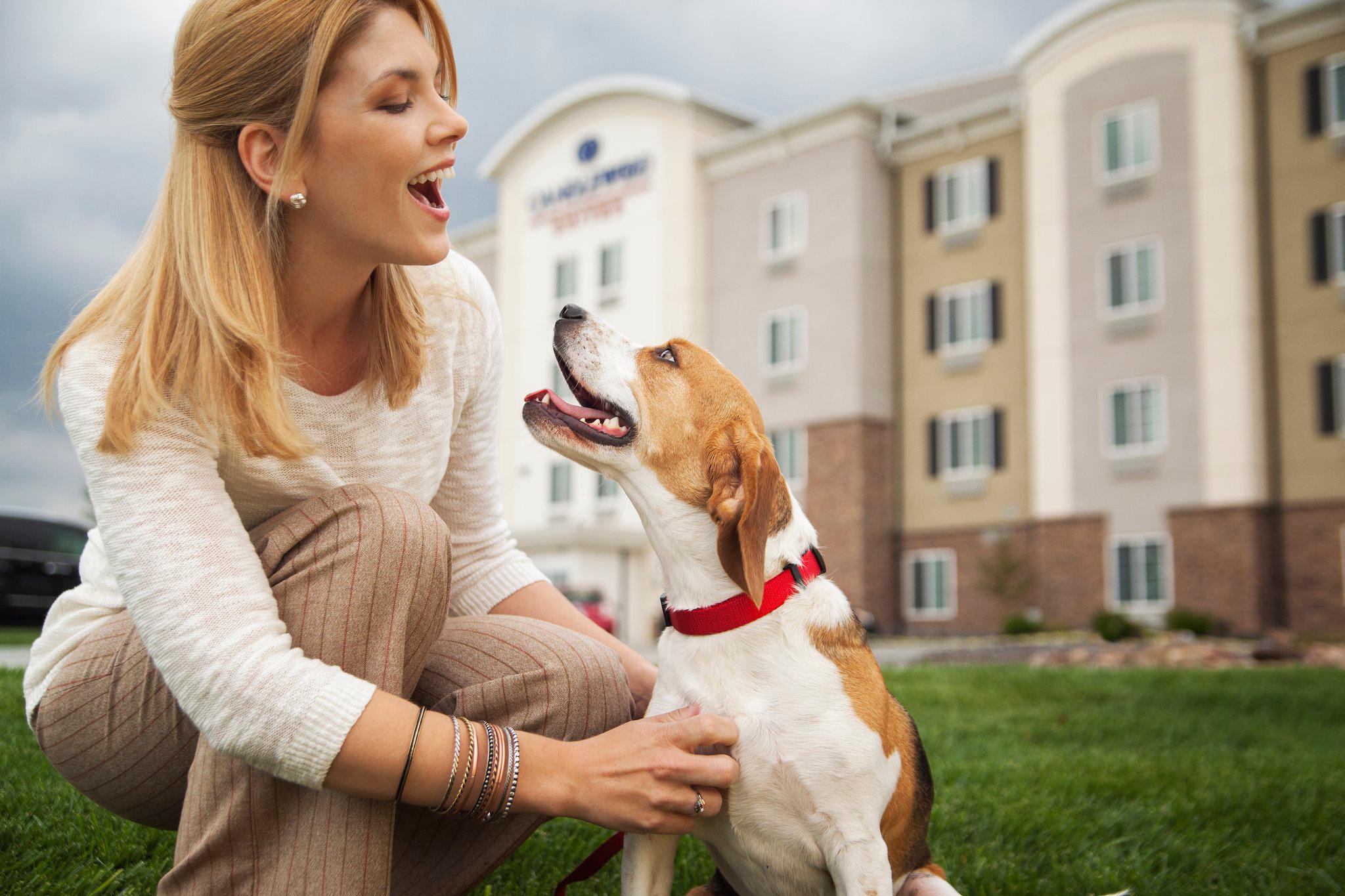 Candlewood Suites Austin-Round Rock Photo