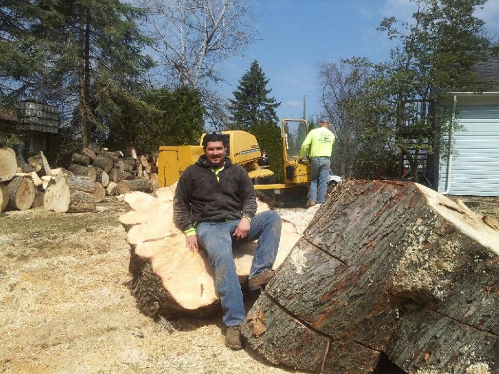 JMAC Lawn and Tree Service Logo