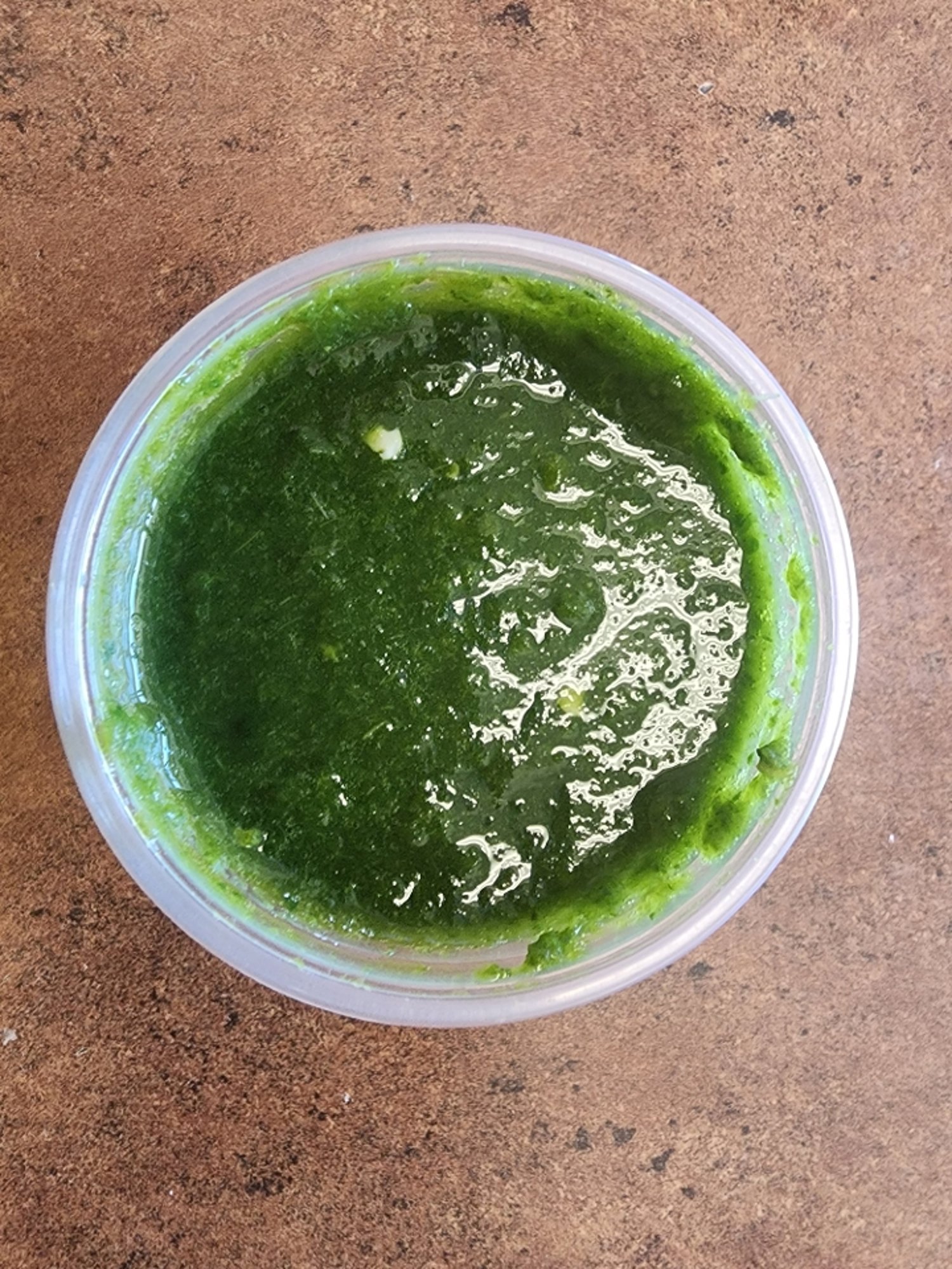 Cilantro Chutney
