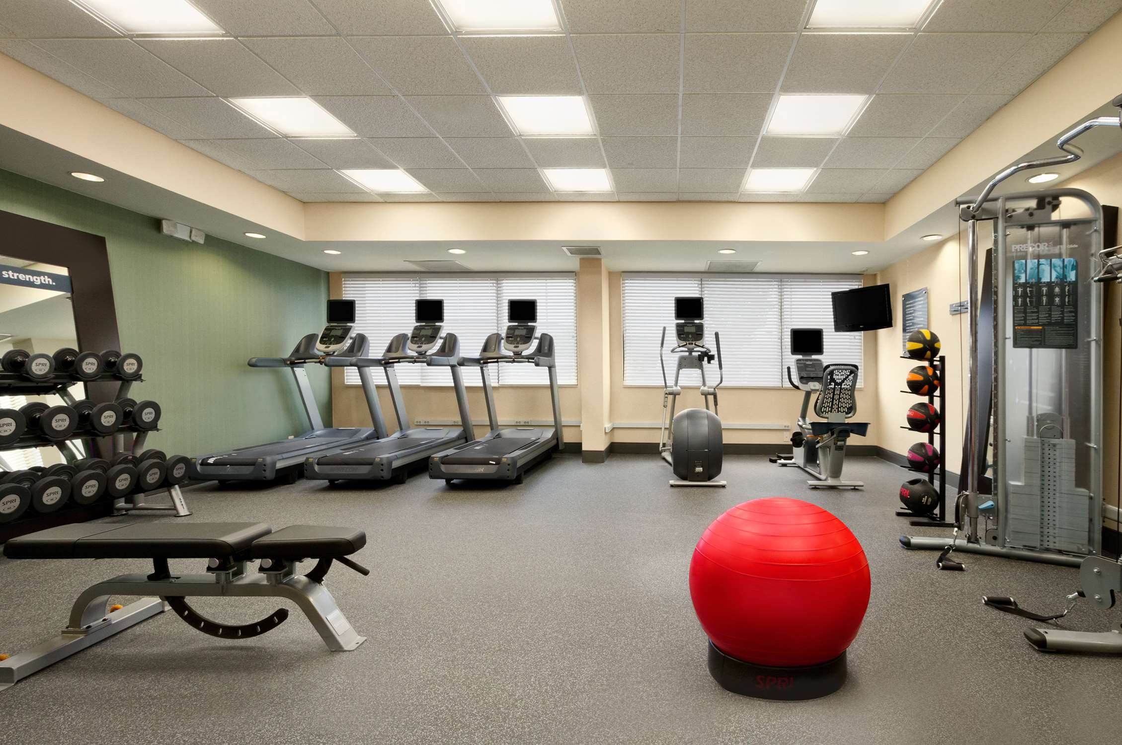 Health club  fitness center  gym