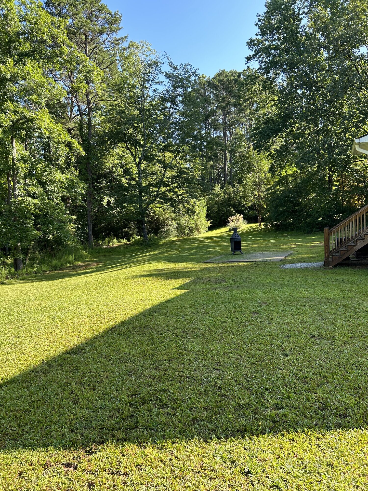 Fresh Start Landscape Image