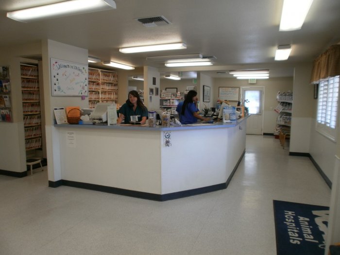VCA Almaden Valley Animal Hospital Photo