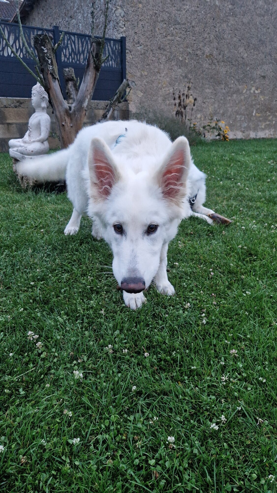 Miniature de la galerie