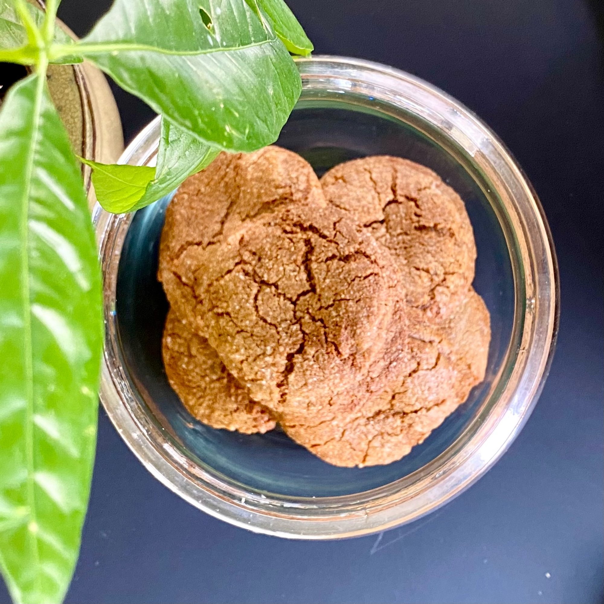 Ginger Molasses Cookie